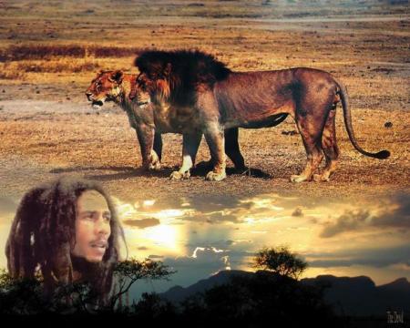 bob et c lion